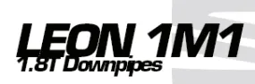 Seat Leon 1M1 1.8T Downpipes