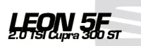 2.0 TSI Cupra ST