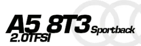 A5 Sportback 8TA 2.0TFSI