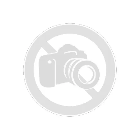 Dichtungset für Downpipe 220162