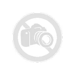 Tial Wastegate MV-R 44mm schwarz 2949